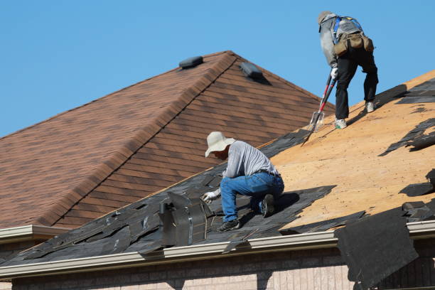 Best Flat Roofing  in Springerville, AZ