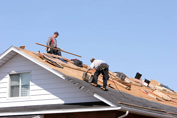 Roof Restoration in Springerville, AZ
